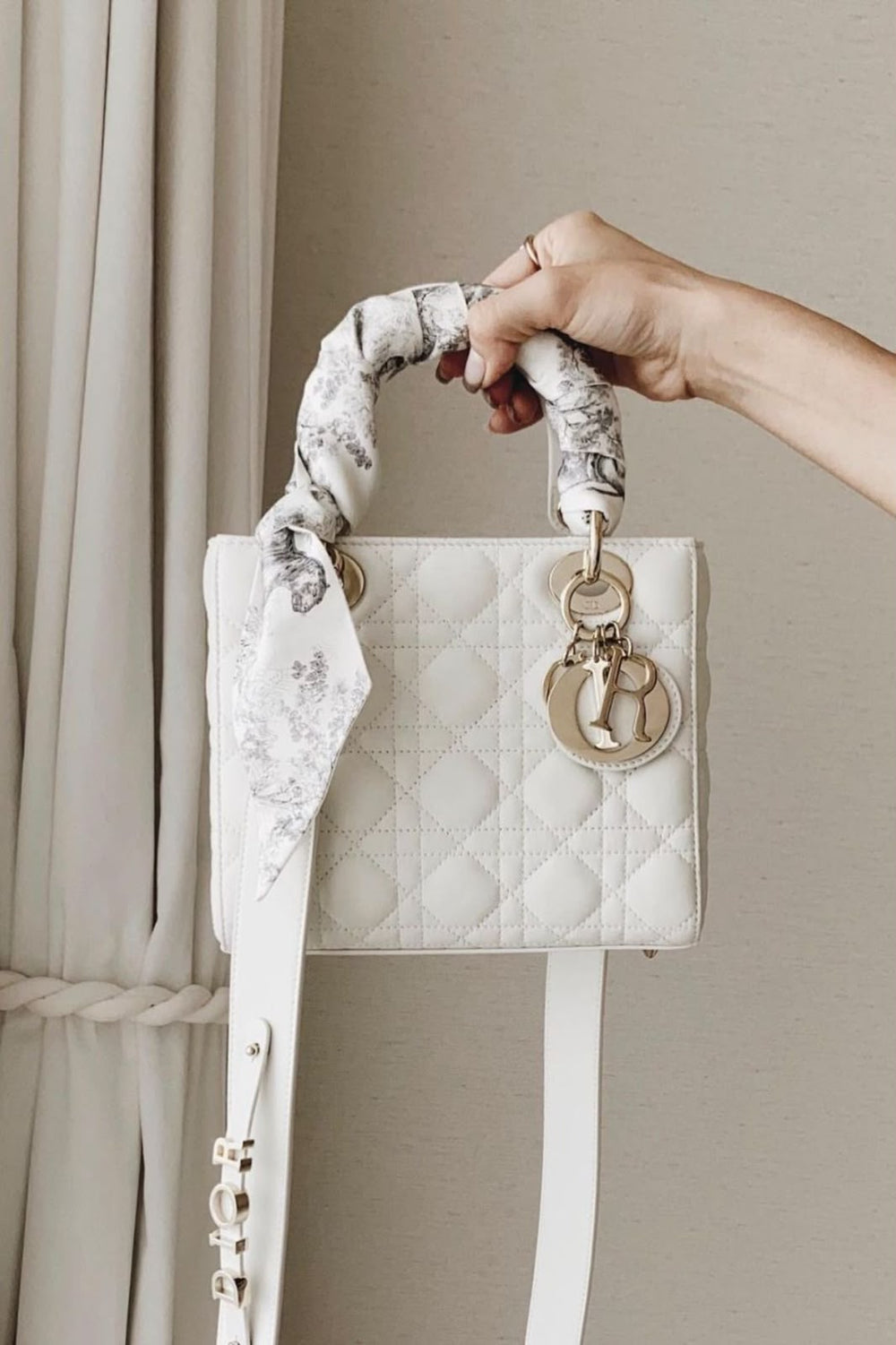 Dior Lady Cannage Bag Color 01