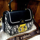 Dior Inspired Oblique Canvas Flap Bag