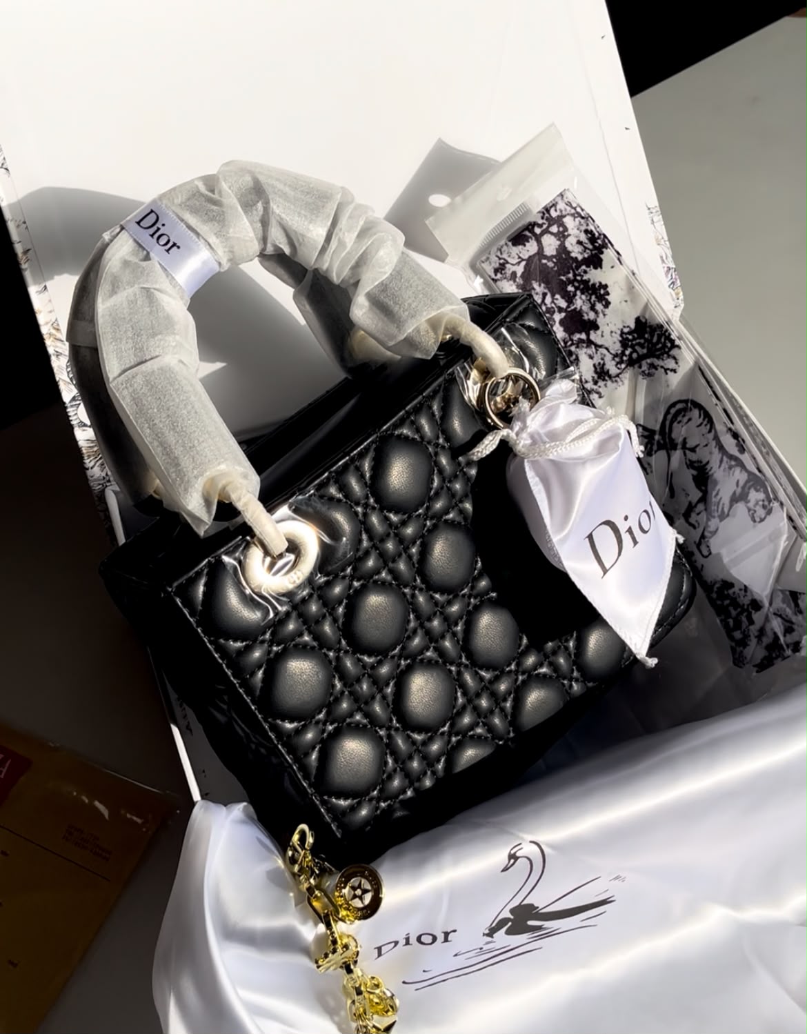 Dior Lady Cannage Bag Color 01