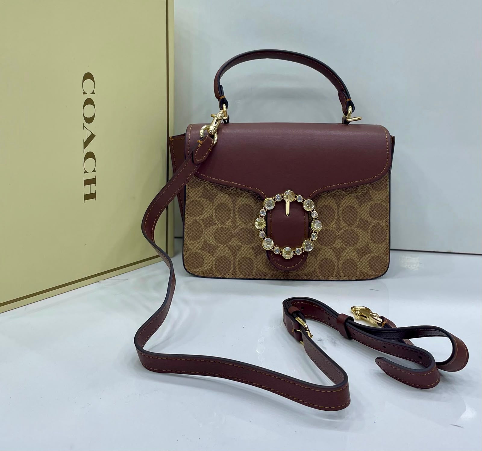 Coach Tabby Crystal Buckle Bag Color 01